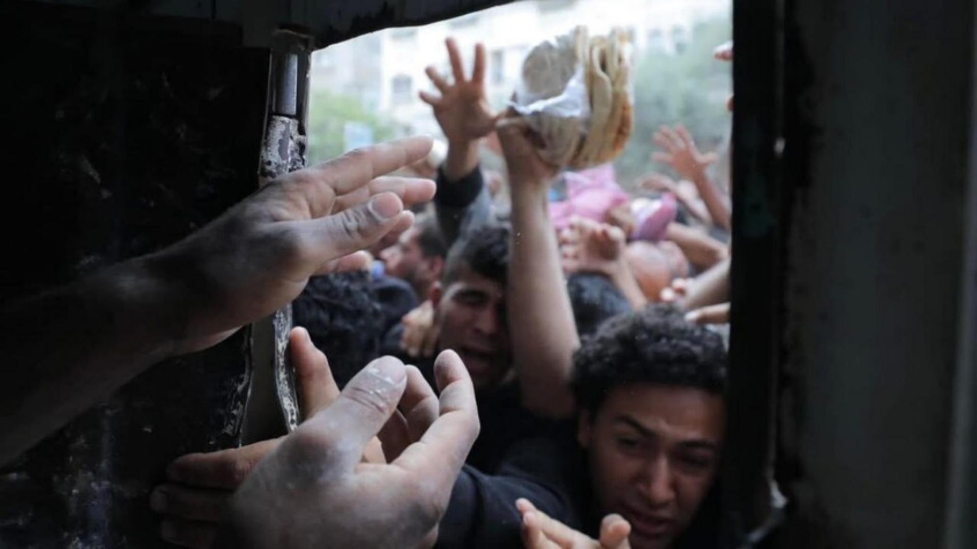 بالصور.. فلسطينيون يتدافعون للحصول على الخبز في غزة 9 صورٌ مؤلمة: يتدافعون للحصول على الخبز
