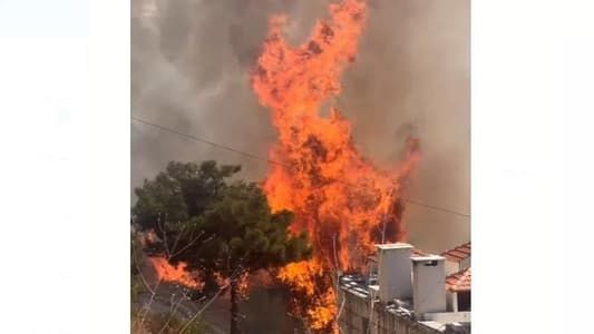 MTV Sources: The fire in the Rabweh area is believed to be deliberate, as residents witnessed an individual igniting the flames