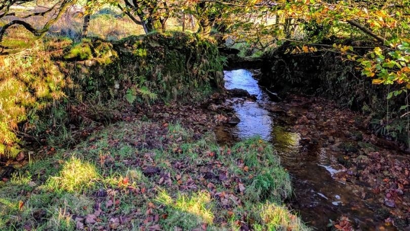 Main Highlight Image