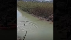 بالفيديو: البحث عن مفقودين جرّاء الغارات... غطساً