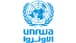 UNRWA: Nearly one million people have fled Rafah over the past three weeks