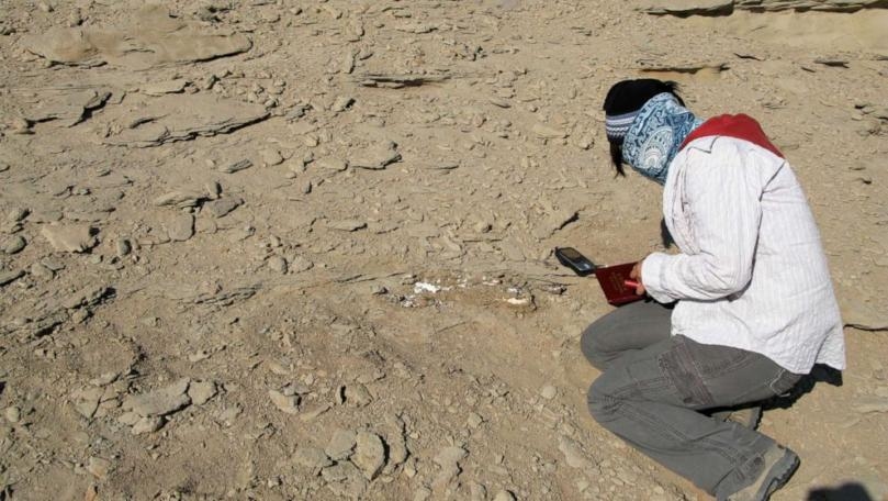 2 New Species of Massive Sauropod Dinosaurs Found in China, a 1st for the Region