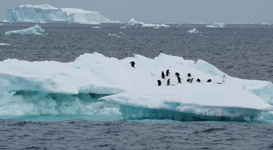 Rising Antarctic ice melt will dramatically slow global ocean flows, study finds
