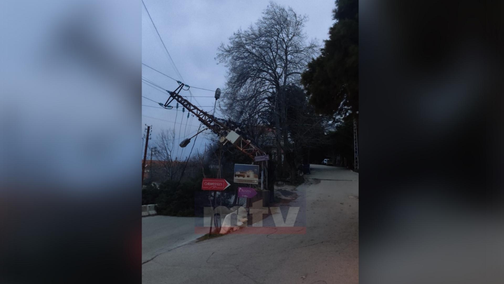 بالصّور: سقوط شجرة بسبب الرياح.. وقطع طريق