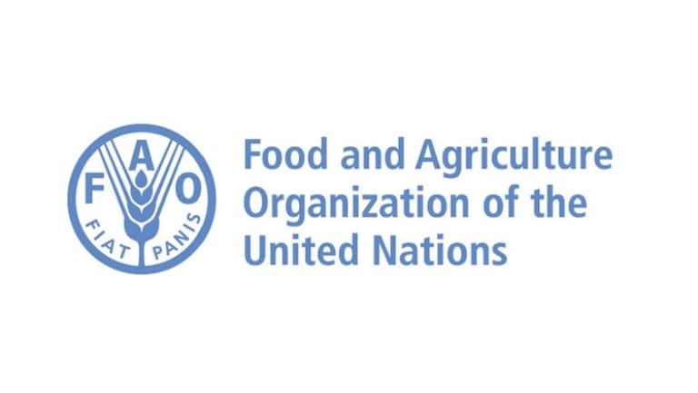 "الفاو" تحضّ على تعزيز الإنتاج