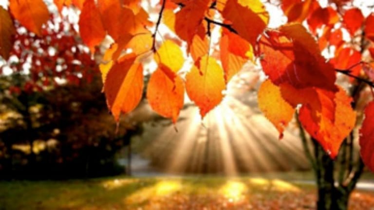 بعد الأمطار... الطقس إلى تحسّن مع ارتفاع في الحرارة