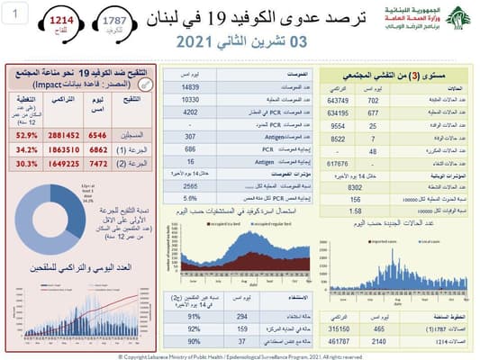 Health Ministry: 702 new Covid cases, 7 new deaths in Lebanon