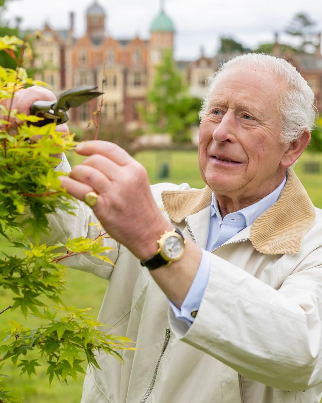 الملك تشارلز يحتفل بعامه الـ 77... ويدخل نادي الملوك الأطول عمراً في تاريخ بريطانيا