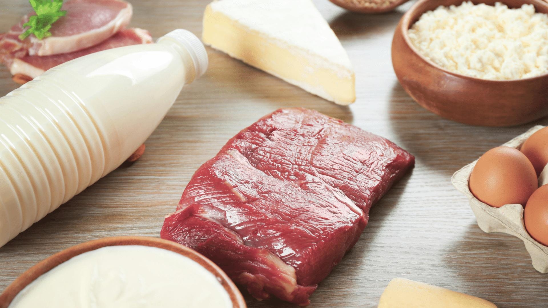 Main Highlight Image