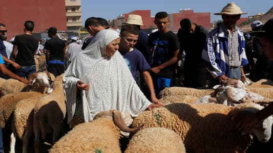 Drought-hit Morocco asks citizens not to slaughter sheep on Eid al-Adha