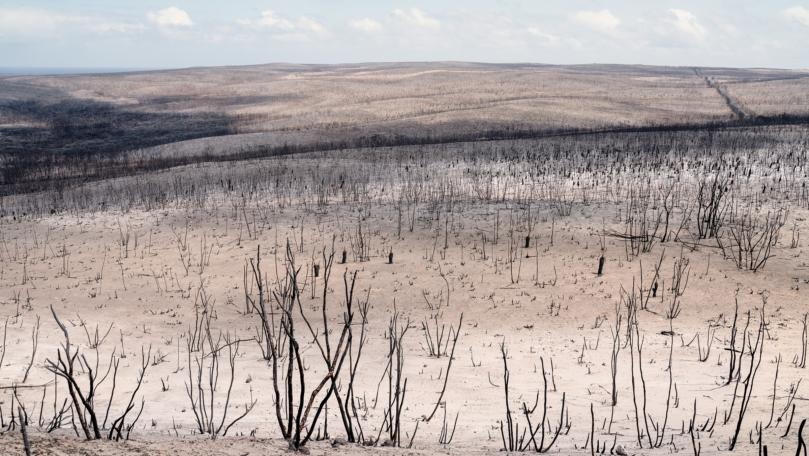 Better Weather Warnings Could Save 23,000 Lives, According to UN