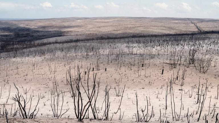 Better Weather Warnings Could Save 23,000 Lives, According to UN