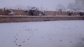 Watch: Snow at 800 Meters