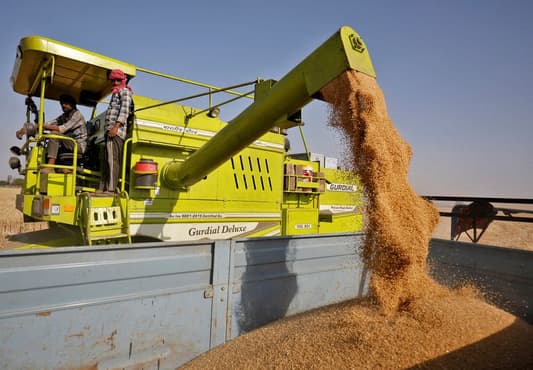 India bans wheat exports as heat wave hurts crop, domestic prices soar