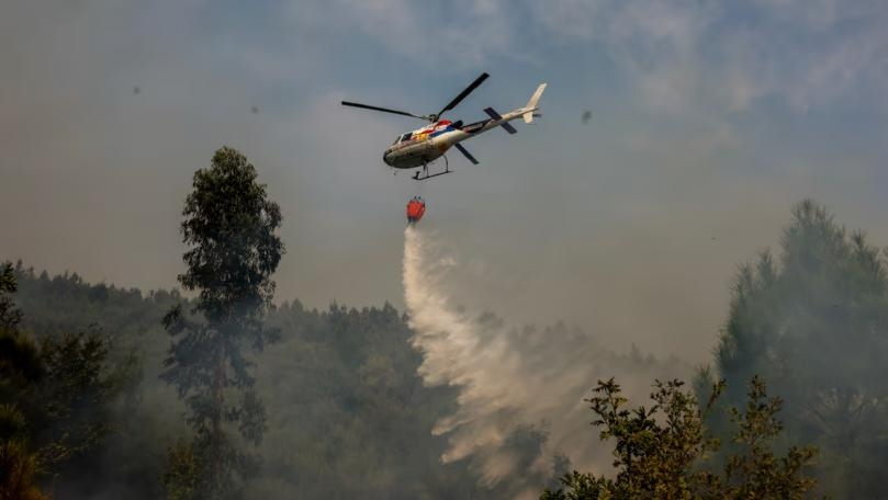 Firefighters quell most of Portugal's worst wildfires, fight still on