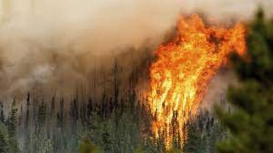 Wildfires in Canada cause carbon dioxide emissions