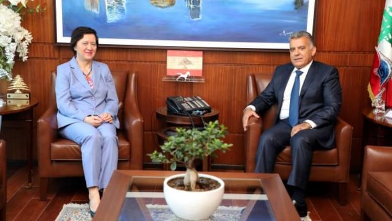 Ibrahim meets UN Special Coordinator