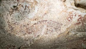 World's oldest cave painting in Indonesia shows a pig and people