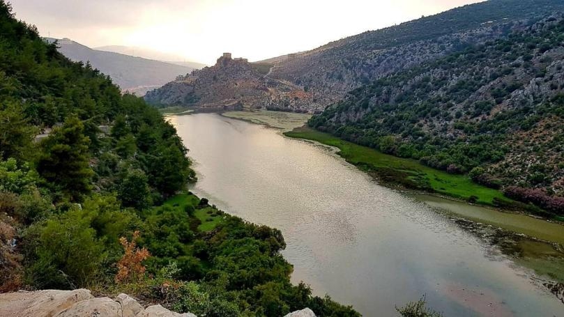عيون السمك… من أجمل ما قد تشاهده عيونكم في لبنان!