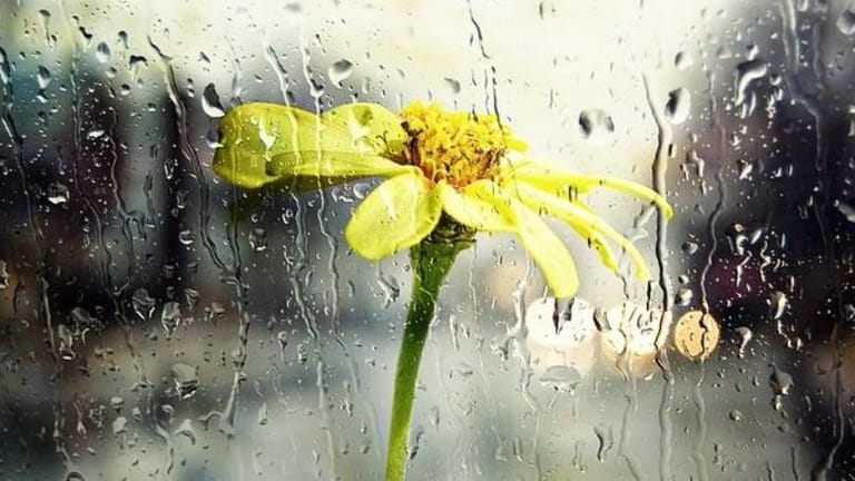 بدايةٌ ممطرة للرّبيع... وهذا ما ينتظرنا!