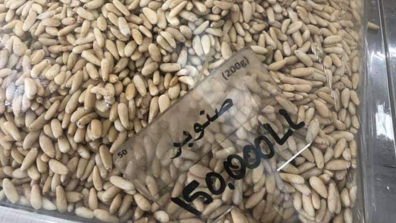 تعرّفوا على "ذهب لبنان الابيض"