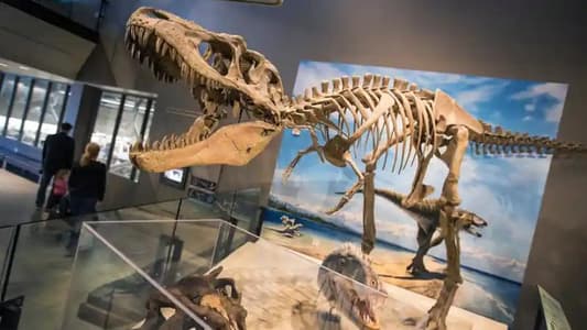 Two New Killer Dinosaurs Unearthed on Isle of Wight