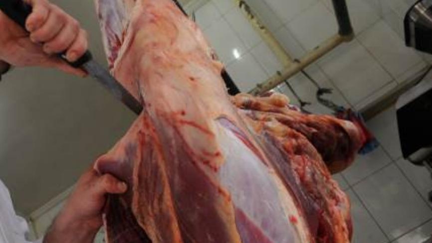 أصحاب المسالخ في صور ومنطقتها: نحذر من احتكار بعض التجار للمواشي المدعومة