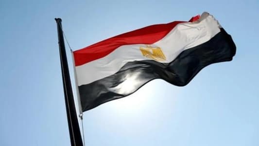 Egyptian Foreign Minister: I agreed with Blinken on the urgent need for a ceasefire in Gaza