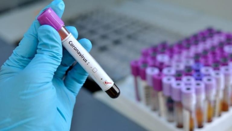 خلية الأزمة في البيرة تستعد للحملة الثالثة من الفحوصات المجانية