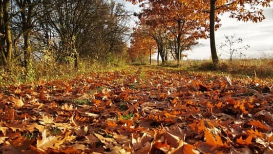 Tomorrow's weather in Lebanon: Partly cloudy, decreasing temperatures