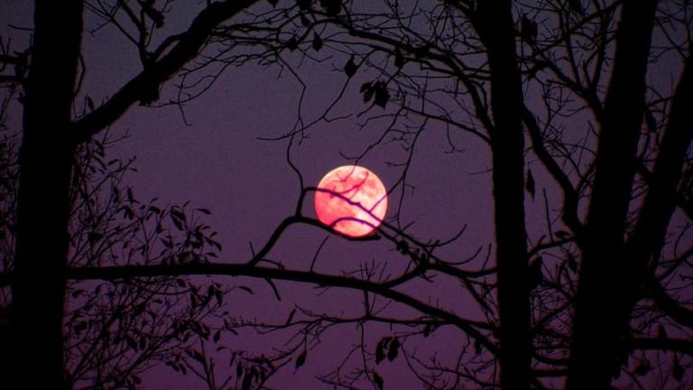 Pink Supermoon in April Will Be Biggest and Brightest of the Year