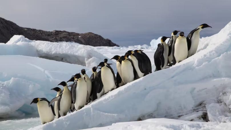 Main Highlight Image