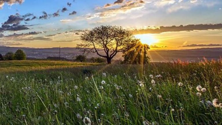 في عزّ حزيران.. الحرارة دون معدّلاتها الموسميّة!