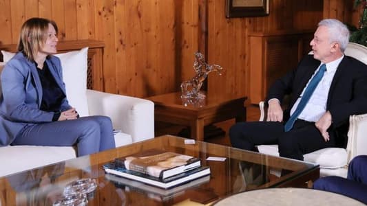 Frangieh meets Sweden's new Ambassador in Bnachii