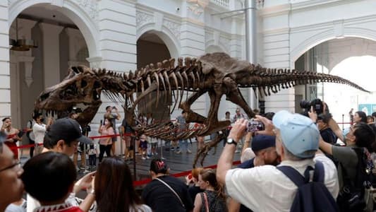 Pregnant T. Rex unearthed