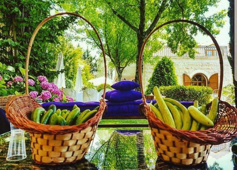 وجهة سياحيّة في الشّوف ستُبهركم... تعرّفوا عليها!