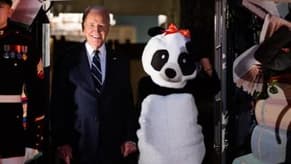 Watch: The Bidens Host Final Halloween Celebration in Panda Costume