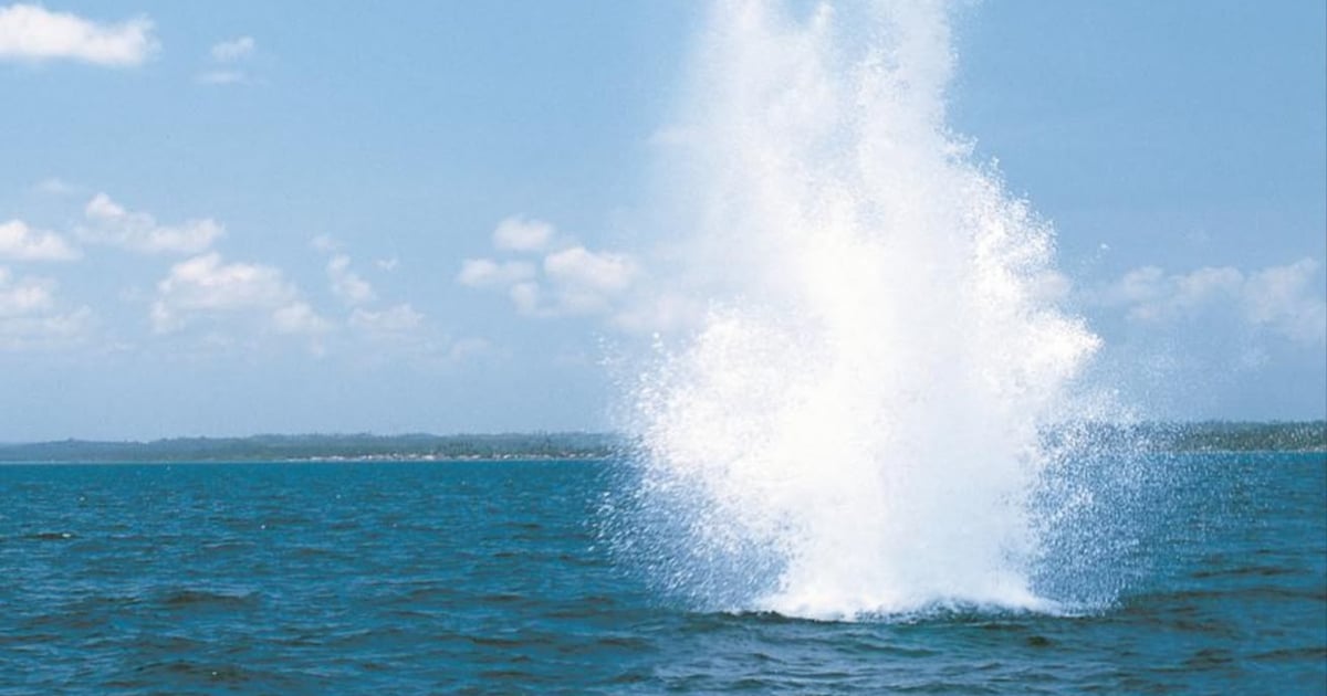 In Pictures: After a sea chase... a fisherman caught violating the law!