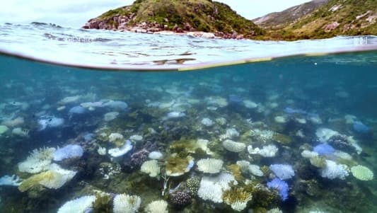 Australia tackles poor Great Barrier Reef water quality