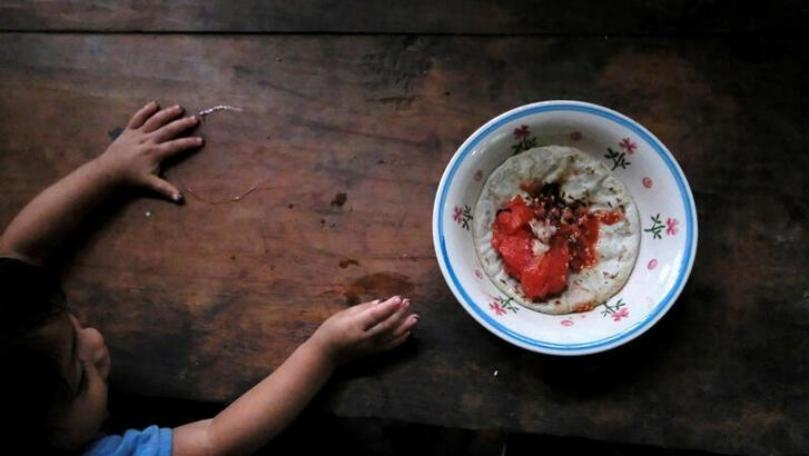 Main Highlight Image