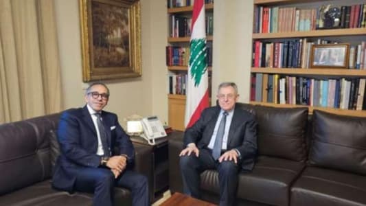 Siniora meets with Egyptian Ambassador