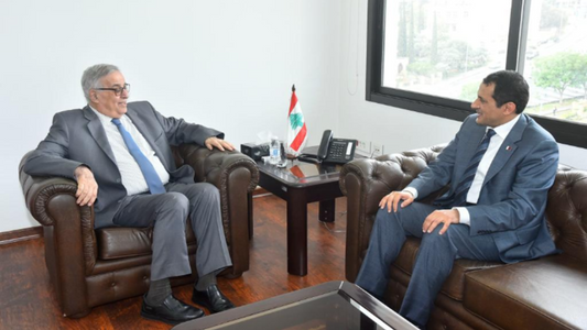 Foreign Ministry Bou Habib leads a series of meetings