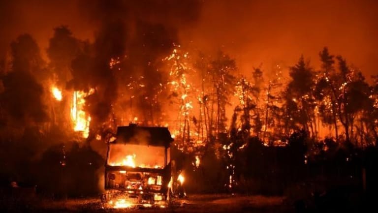 Blaze ravages Evia island on sixth day of Greek wildfires