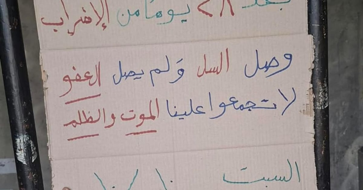 صورة الخبر