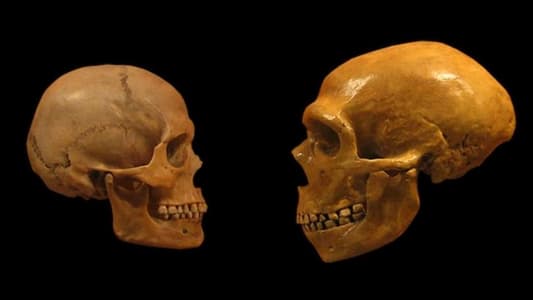 ‘Creative’ Genes Gave Homo Sapiens Edge over Neanderthals, Study Shows