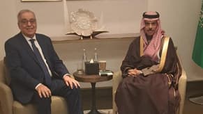 Bou Habib, Saudi counterpart discuss aid and reconstruction efforts in Cairo