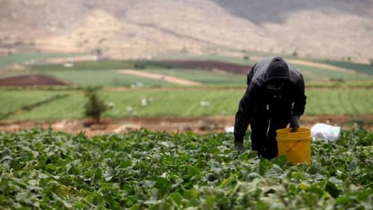 تجمّع مزارعي الجنوب: لإعطاء موظفي مصلحة الليطاني حقوقهم