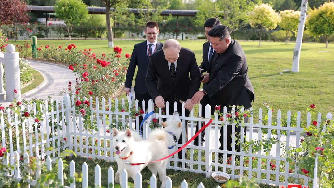 North Korea's Kim gives pair of dogs to Putin