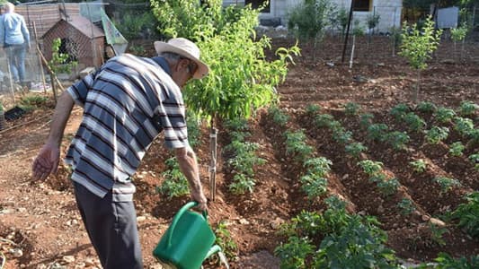 الأمن الغذائي مُهدّد: توجّه لبناني نحو الزراعة!