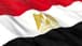 The Egyptian Foreign Minister: We continue our communications with various parties to achieve an immediate ceasefire and de-escalation